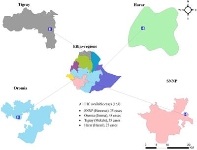 Immunohistochemistry-derived subtypes of breast cancer distribution in four regions of Ethiopia